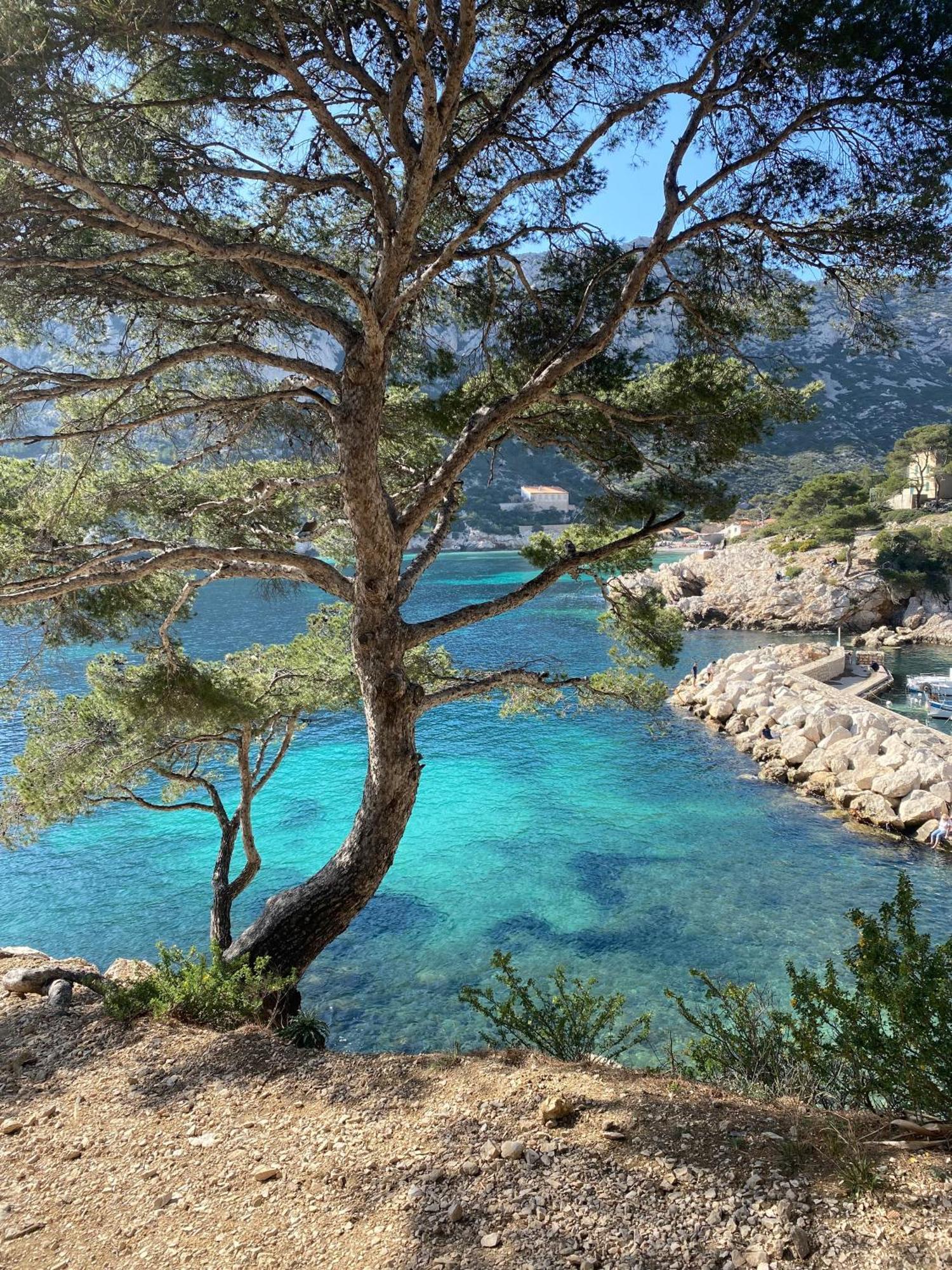 Appartement Lumineux Proche Calanques Marsilya Dış mekan fotoğraf